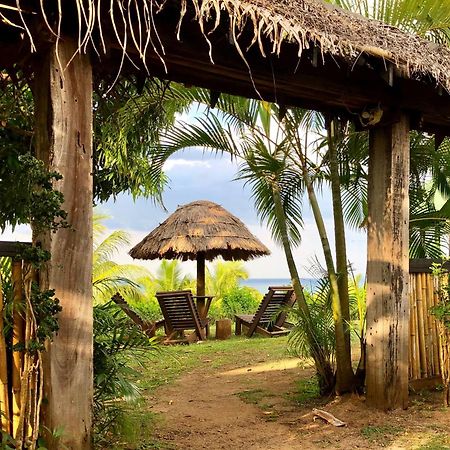 Palmlea Farms Lodge & Bures - Villas Labasa Exterior foto