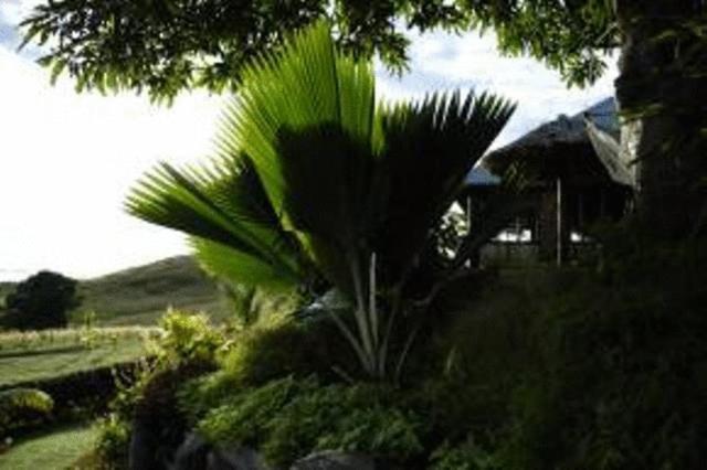 Palmlea Farms Lodge & Bures - Villas Labasa Exterior foto