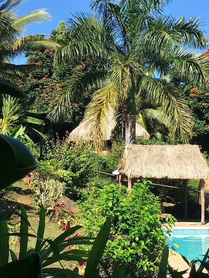 Palmlea Farms Lodge & Bures - Villas Labasa Exterior foto